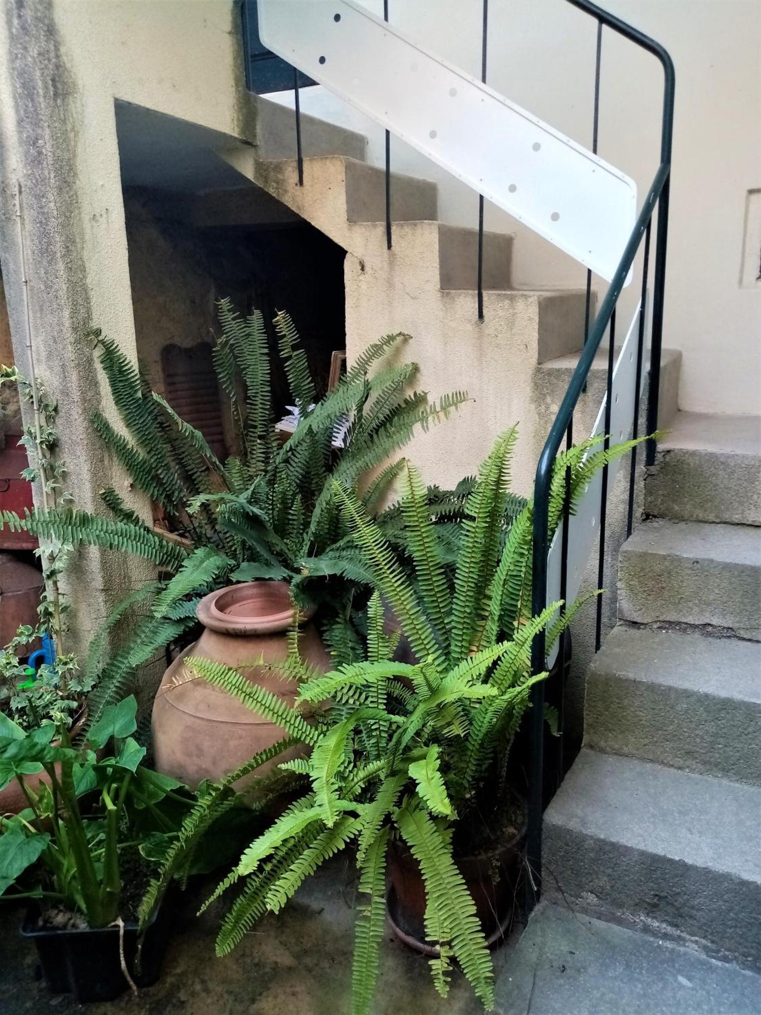 Casa Da Judiaria Velha Ap Appartement Viseu Buitenkant foto